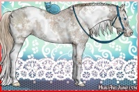 Horse Color:White Spotted Liver Red Dun Ice Sabino Splash Rabicano 