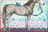 Horse Color:White Spotted Liver Red Dun Ice Sabino Splash Rabicano