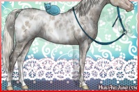Horse Color:White Spotted Liver Red Dun Ice Mushroom Appaloosa Rabicano 