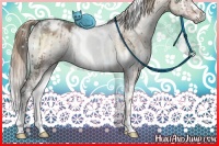 Horse Color:White Spotted Liver Red Dun Ice Onyx Sabino Brindle 