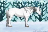 Horse Color:White Spotted Black 