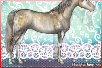 Horse Color:Gray White Spotted Silver Smoky Grullo Pearl Onyx Brindle 