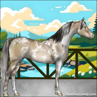 Horse Color:Gray White Spotted Brown Ice Pearl Dun Mushroom