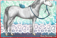 Horse Color:Gray White Spotted Brown Ice Dun Mushroom Brindle 
