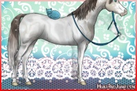Horse Color:White Spotted Grullo Pearl Mushroom Sabino 