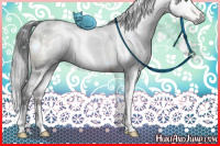 Horse Color:Gray White Spotted Brown Dun Mushroom Brindle