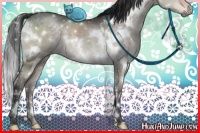 Horse Color:White Spotted Brown Dun Mushroom 