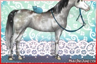 Horse Color:White Spotted Brown Dun Mushroom Splash 