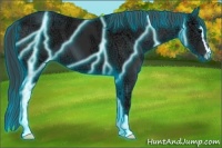 Horse Color:Thunderstruck Black Ice Sabino