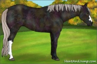Horse Color:Midnight Silver Brown Ice 
