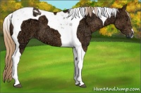 Horse Color:Chestnut Ice Tobiano 