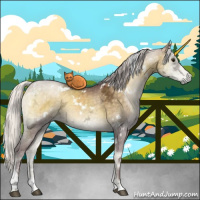 Horse Color:White Spotted Chocolate Silver Smoky Blue Onyx Chinchilla Ice Sabino Brindle