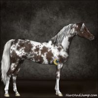 Horse Color:White Spotted Liver Chestnut Ice Mushroom 