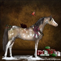 Horse Color:White Spotted Liver Red Dun Rabicano Brindle