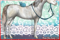 Horse Color:White Spotted Buckskin Pearl Dun Mushroom Sabino Brindle