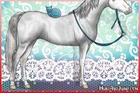 Horse Color:Gray White Spotted Liver Red Dun Ice Pearl Sabino Brindle 