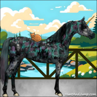 Horse Color:ERROR: UNKNOWN ANOMALY