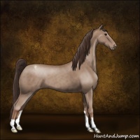 Horse Color:Classic Champagne Appaloosa 