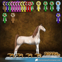 Horse Color:Gold Champagne Dun Sabino Brindle