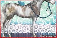 Horse Color:White Spotted Liver Red Onyx Ice Mushroom Sabino Rabicano