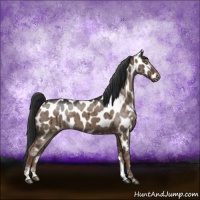 Horse Color:Liver Red Dun Sabino Near Leopard Brindle 
