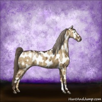 Horse Color:Chocolate Palomino Dun Near Leopard Brindle 