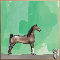 Horse Color:Brown Dun Appaloosa 