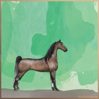 Horse Color:Brown Dun Sabino Brindle