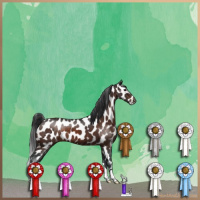 Horse Color:Brown Appaloosa