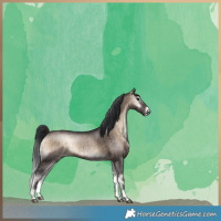 Horse Color:Brown Onyx Sabino Brindle 