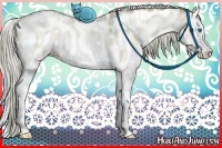 Horse Color:White Spotted Chocolate Palomino Pearl Onyx Splash Appaloosa 