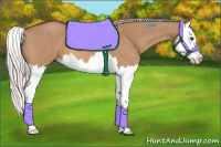 Horse Color:Silver Bay Dun Splash 