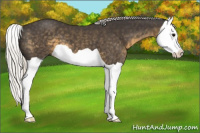 Horse Color:Silver Smoky Black Splash 