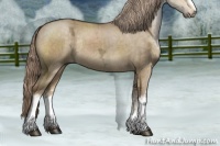 Horse Color:White Spotted Chocolate Palomino Ice Dun Sabino Rabicano