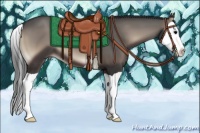 Horse Color:Blue Onyx Splash