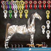 Horse Color:Buckskin Dun Frame Leopard Brindle 