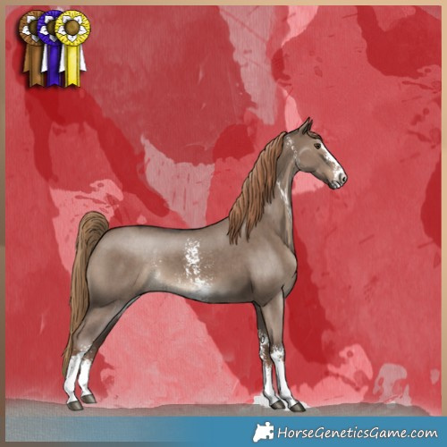 Horse Color:Liver Red Dun Sabino 