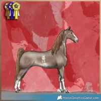 Horse Color:Liver Red Dun Sabino 