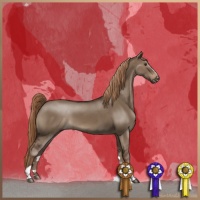 Horse Color:Liver Red Dun Sabino 
