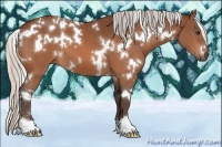 Horse Color:White Spotted Silver Brown 