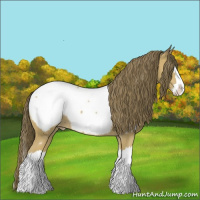 Horse Color:Buckskin Sabino Splash Snowcap 