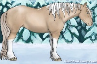 Horse Color:Chocolate Palomino Pearl Tobiano 