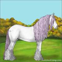Horse Color:Gray Painted Black Sabino Splash Appaloosa