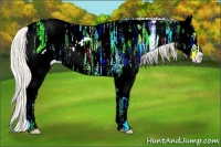 Horse Color:Plaid  White Spotted Silver Buckskin Ice Pearl Frame 