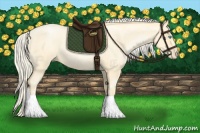 Horse Color:Palomino Roan Pearl  and Palomino Roan Pearl Tobiano 