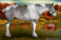 Horse Color:Platinum Chocolate Palomino Tobiano 