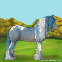 Horse Color:Watercolor Bay Tobiano Appaloosa