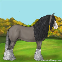 Horse Color:Grullo Sabino Splash
