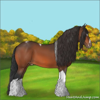 Horse Color:Brown Sabino Tobiano Appaloosa