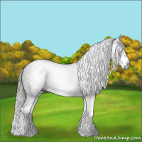 Horse Color:Gray Grullo Splash 